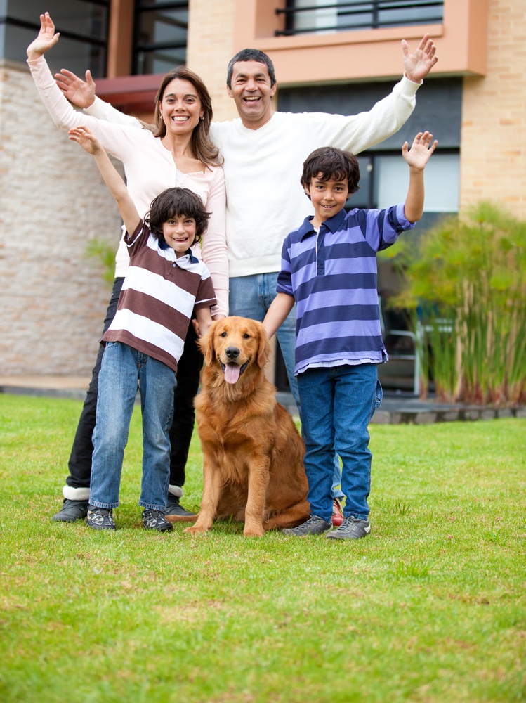 house training a dog