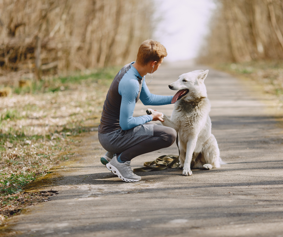 moving with pets in alexandria, va